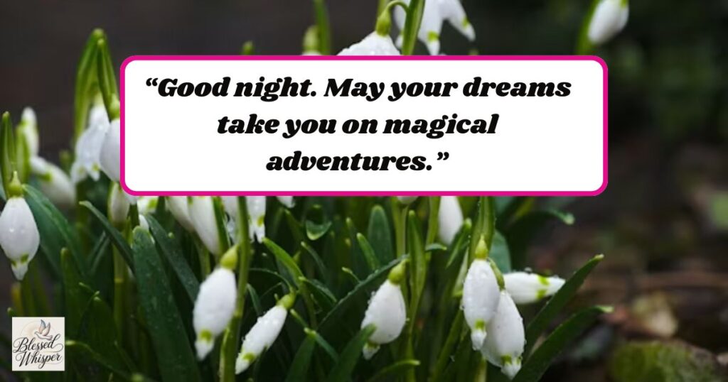 good night messages for various friends