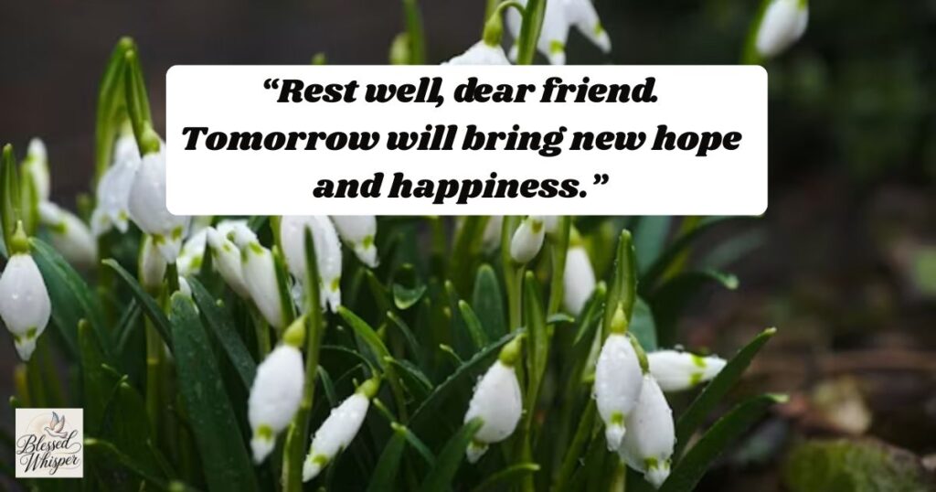 good night messages for various friends