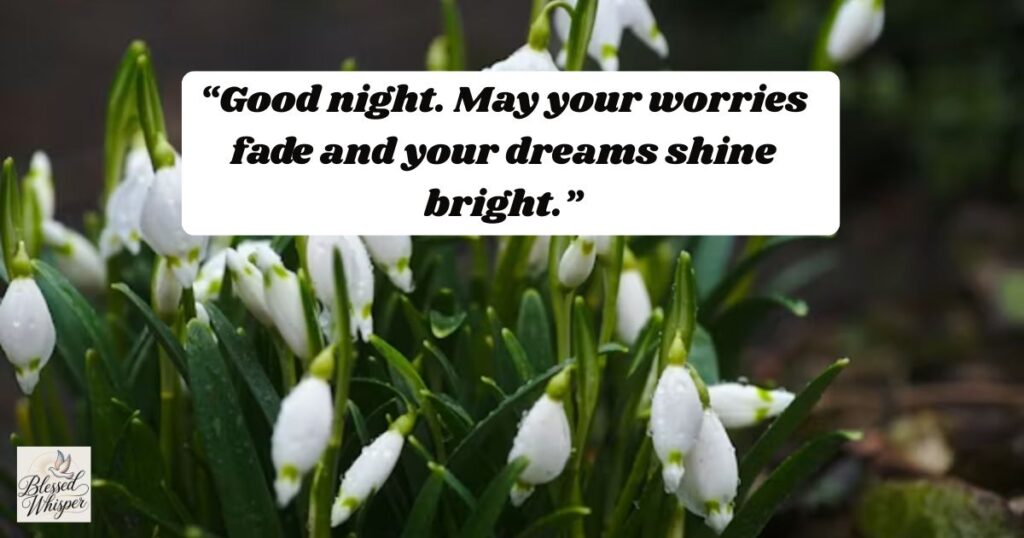 good night messages for various friends