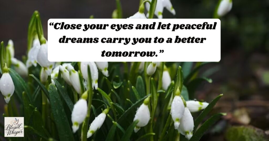 good night messages for various friends