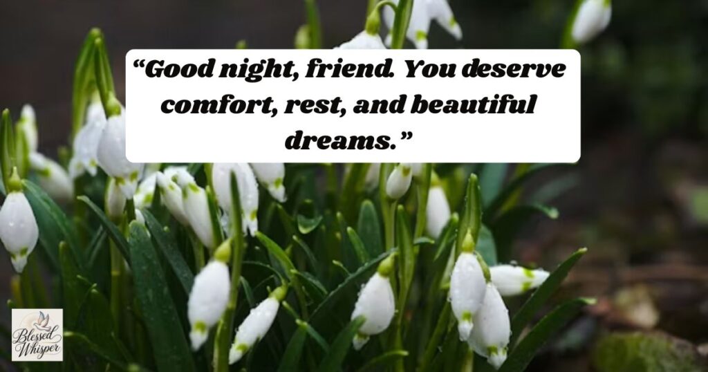 good night messages for various friends