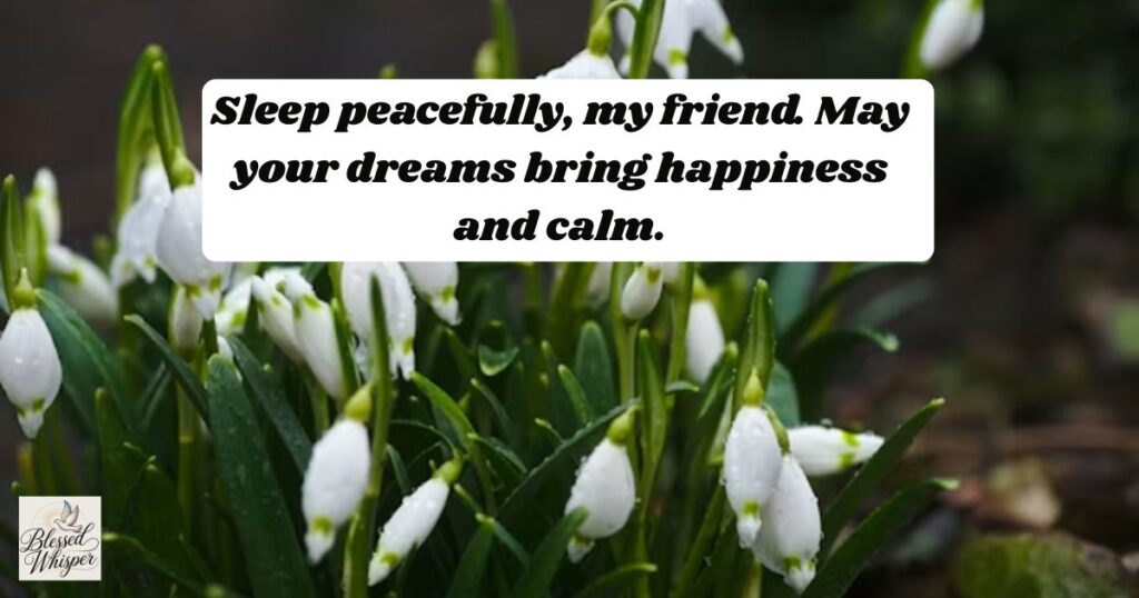 good night messages for various friends