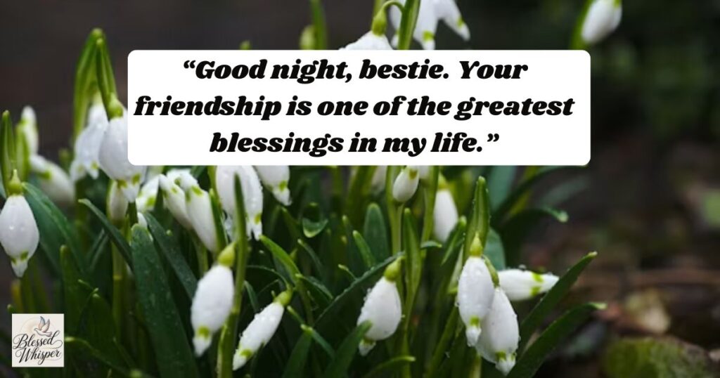 good night messages for various friends