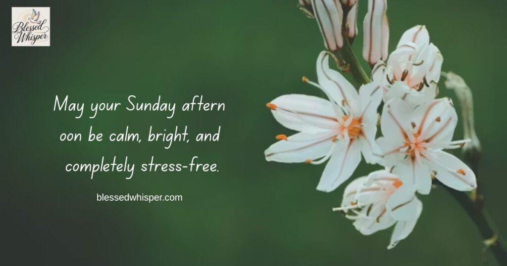 good morning happy sunday blessings