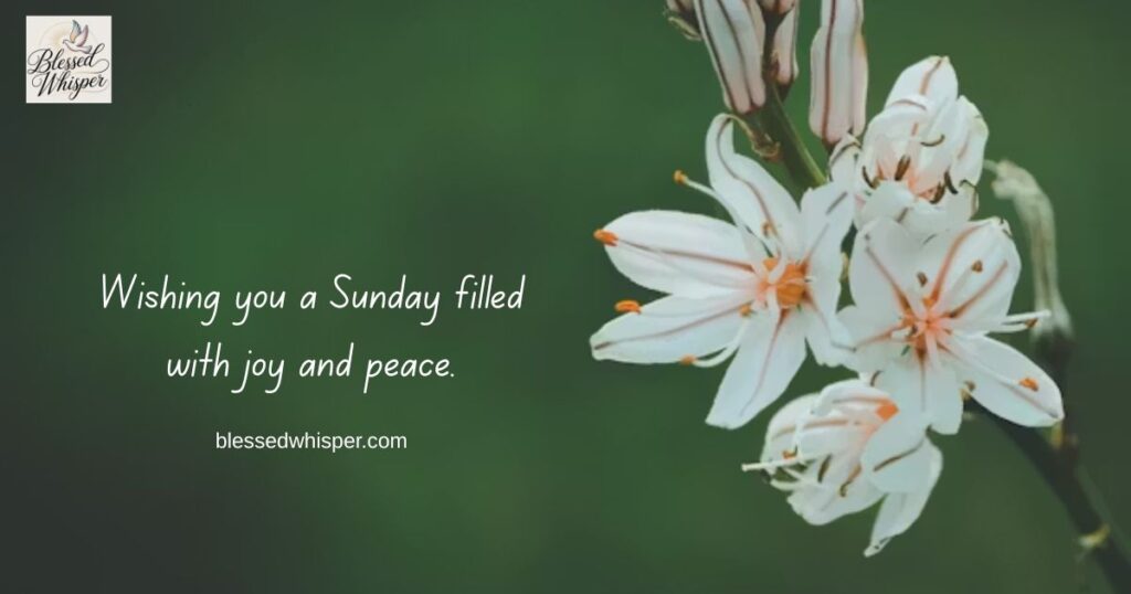 good afternoon happy sunday blessings