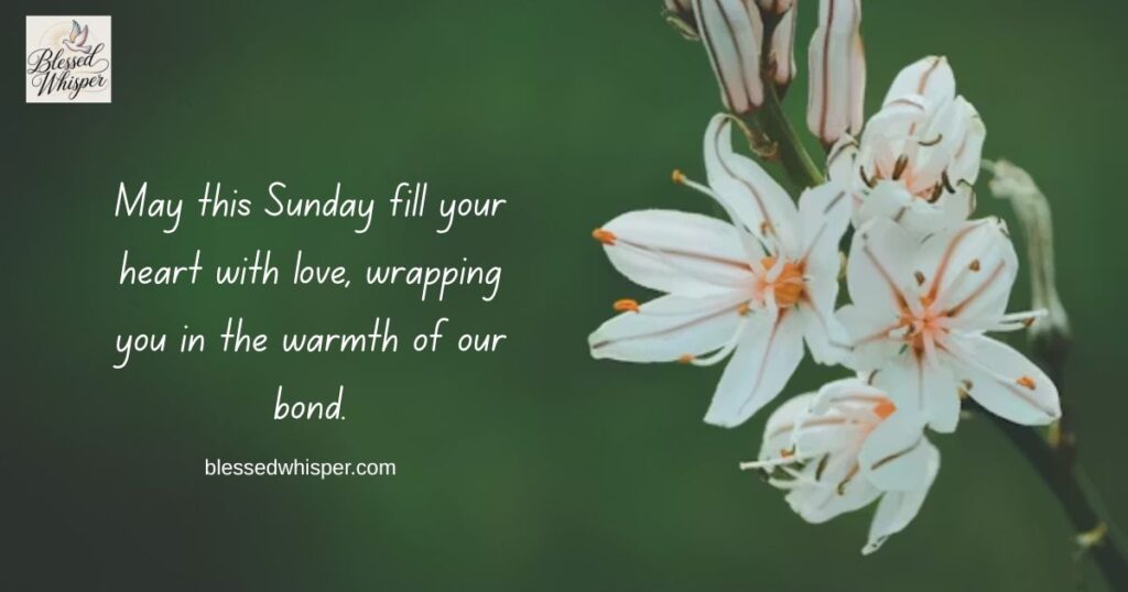 happy sunday blessings images and quotes