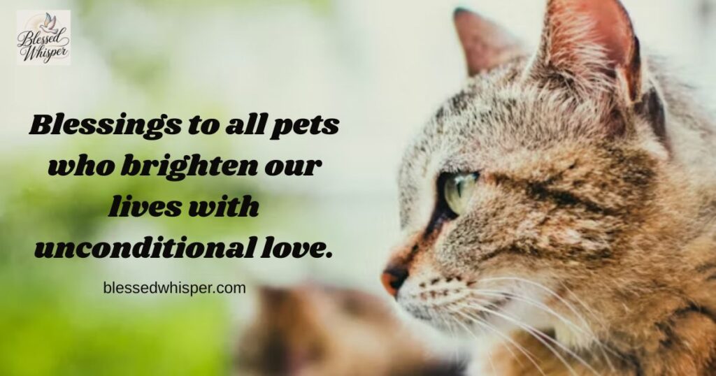 1: What is National Pet Day?