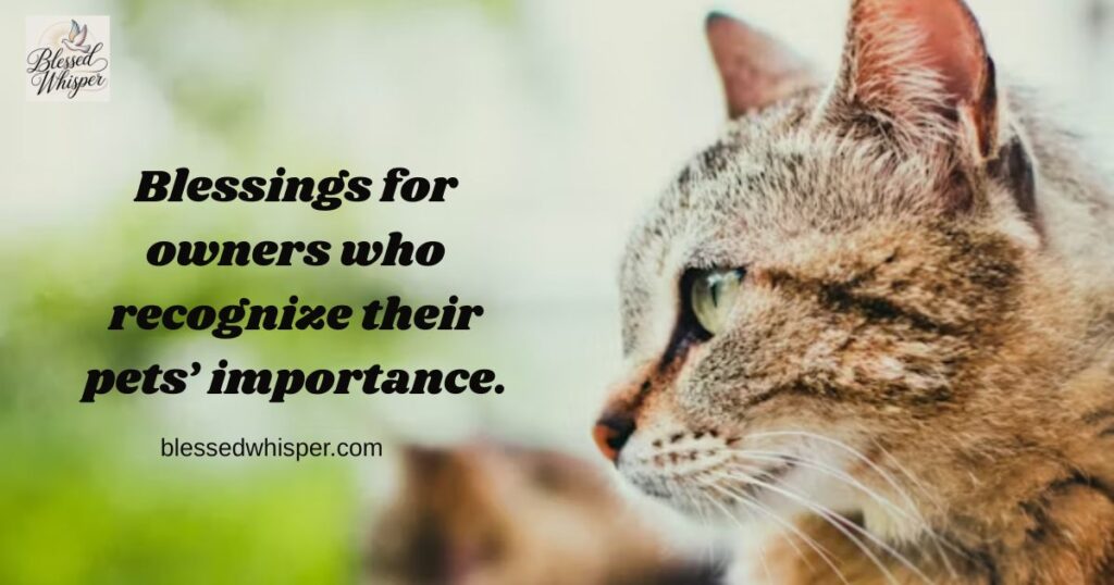 How to Adopt or Help Shelter Pets