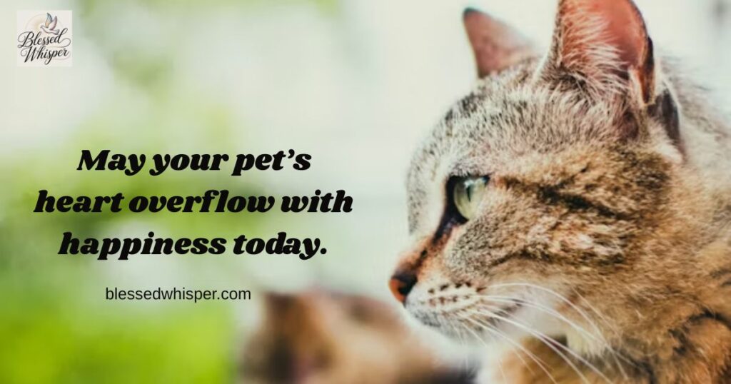 Quotes & Wishes for Pet Lovers