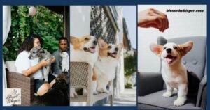 national pet day 2026