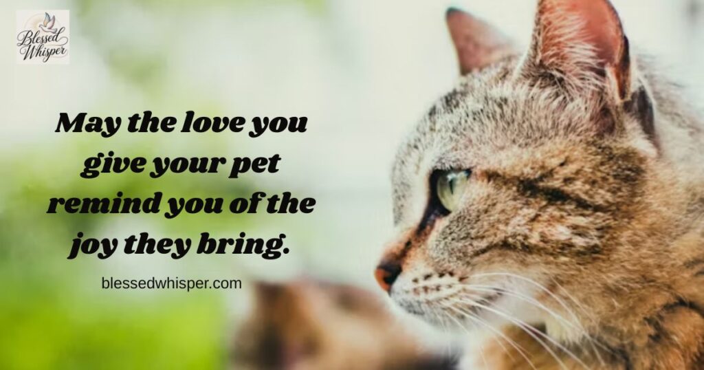 National Pet Day Around the World