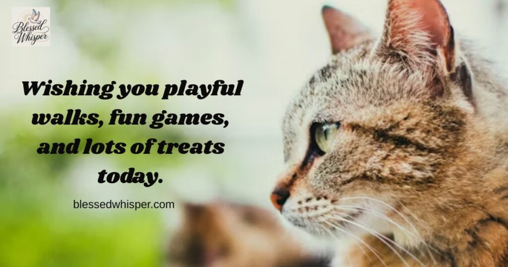 Fun Activities for National Pet Day