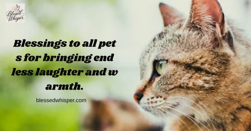 Tips for Pet Care on National Pet Day