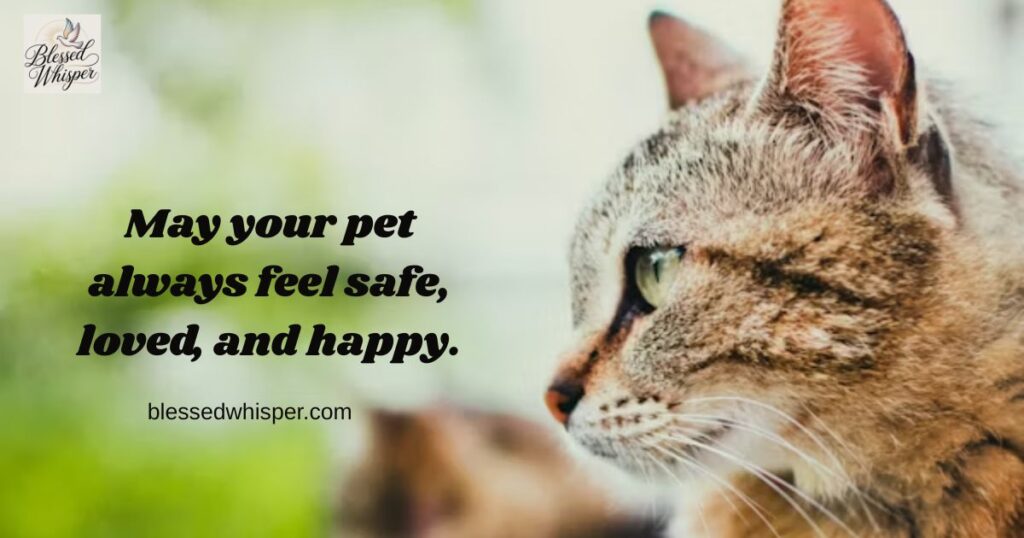 Social Media Celebration Ideas