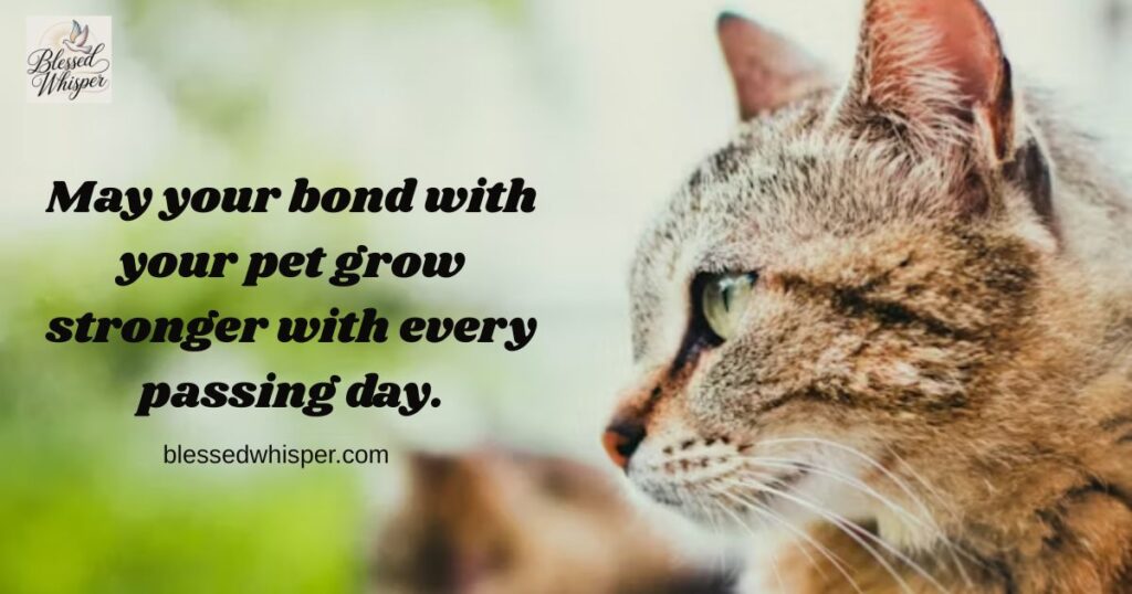 national pet day 2026